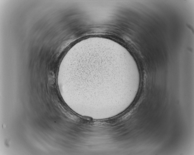 X0000098141449200805151128