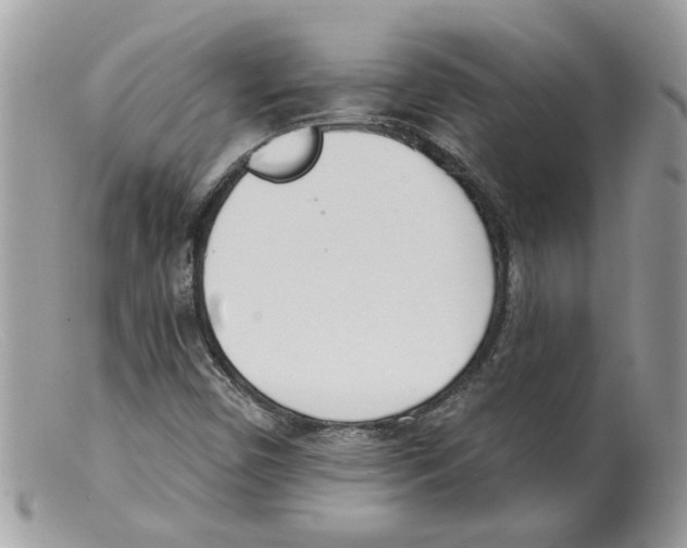 X0000098141450200805151128