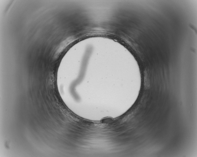 X0000098141453200805151128