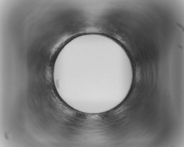 X0000098141454200805151128