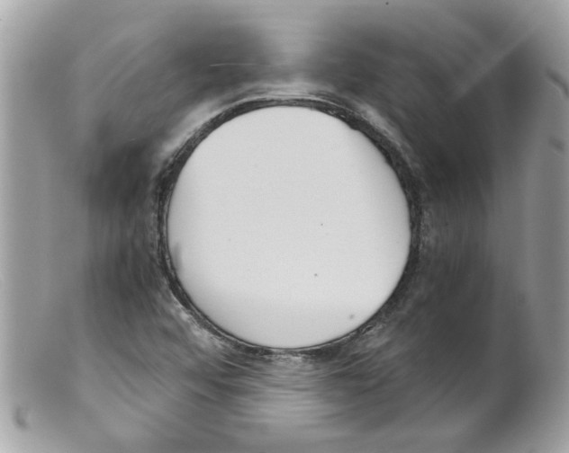 X0000098141456200805151128