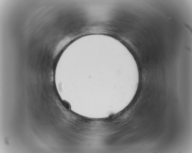 X0000098141461200805151128