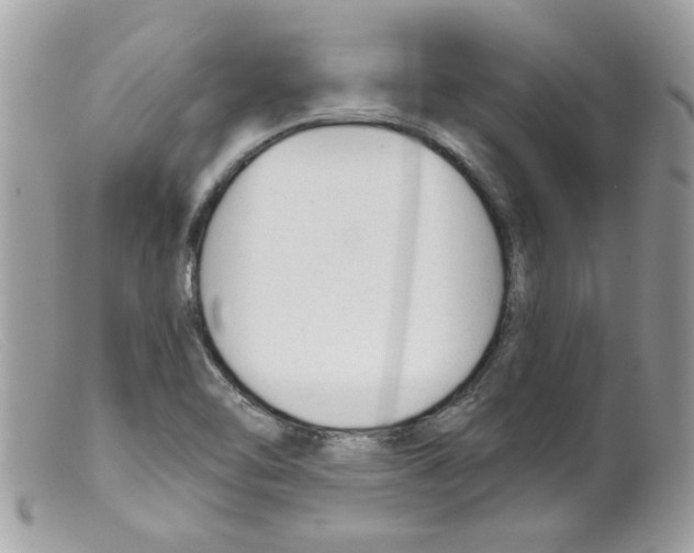 X0000098141462200805151128