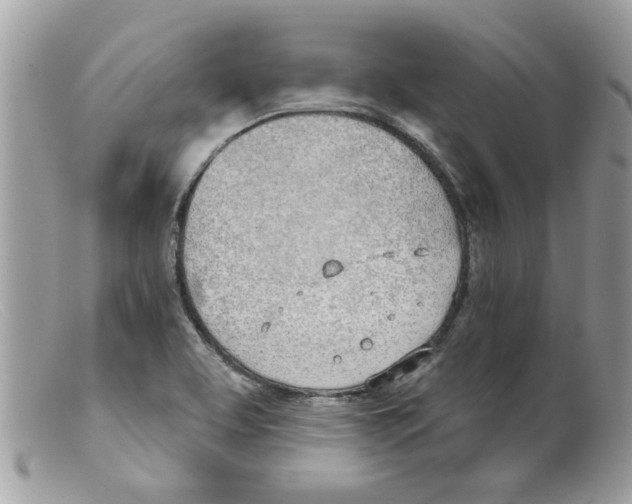 X0000098141463200805151128