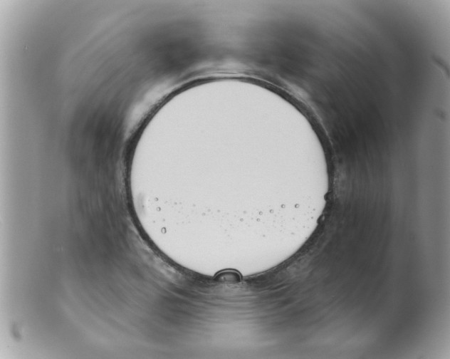 X0000098141464200805151128