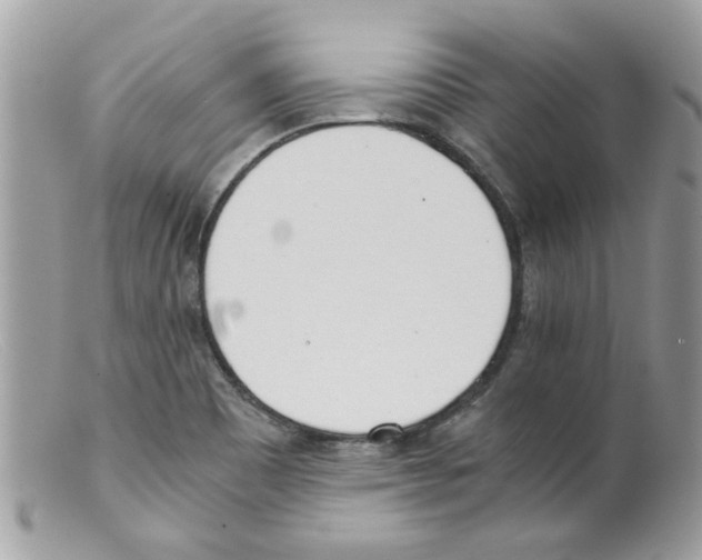 X0000098141465200805151128