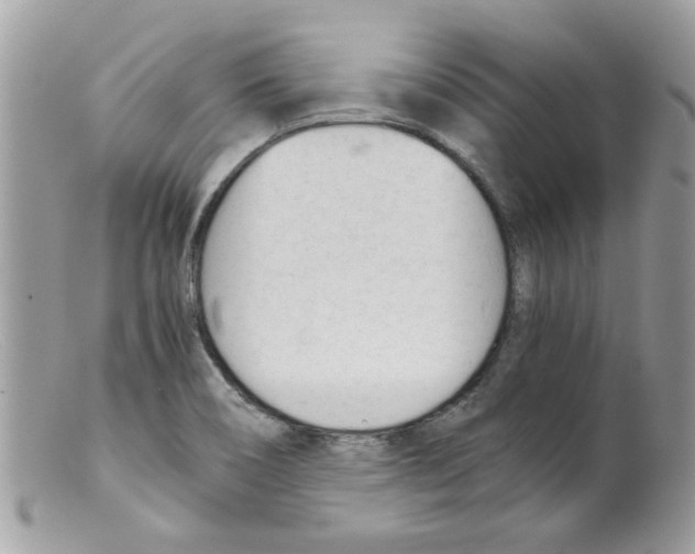 X0000098141466200805151128