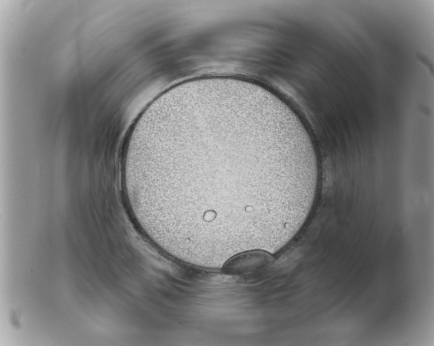 X0000098141467200805151128