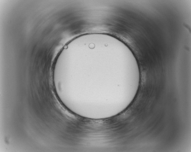 X0000098141470200805151128