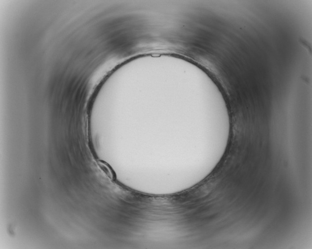 X0000098141472200805151128