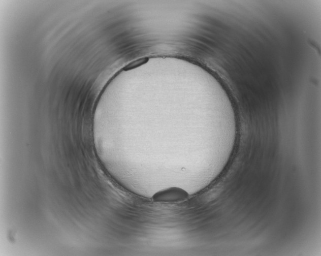 X0000098141473200805151128