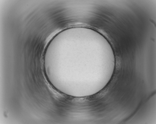 X0000098141474200805151128