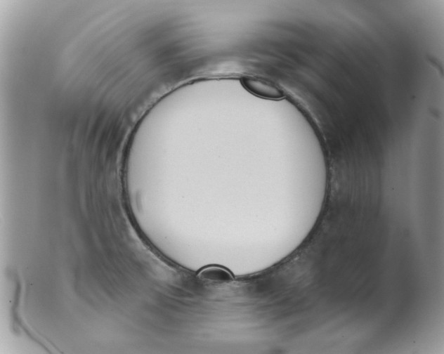 X0000098141475200805151128