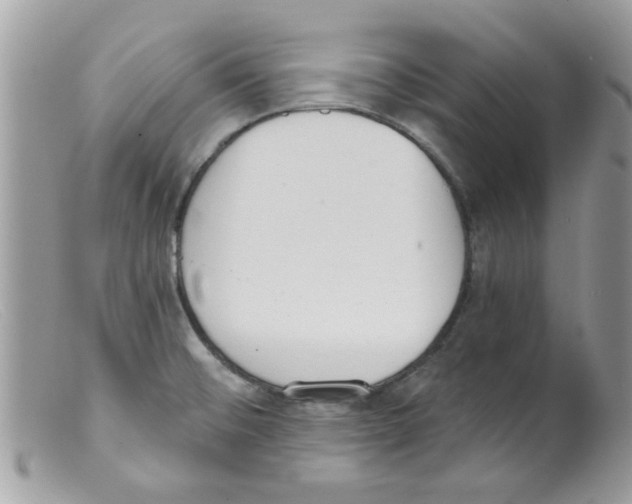 X0000098141476200805151128