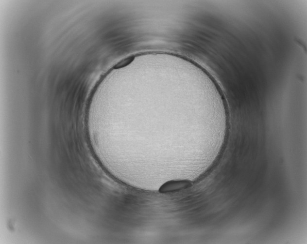 X0000098141477200805151128