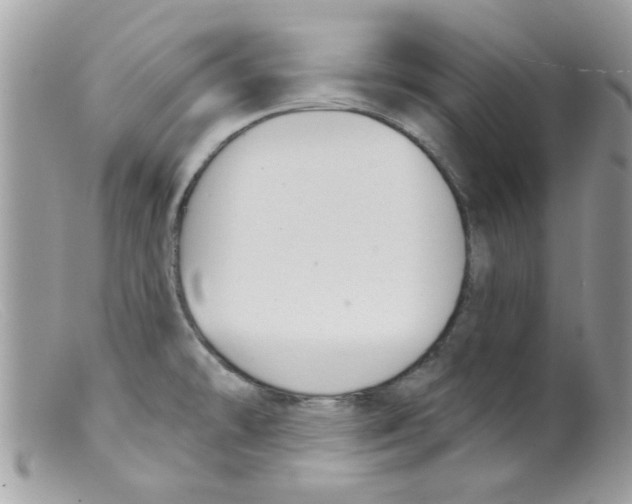 X0000098141478200805151128