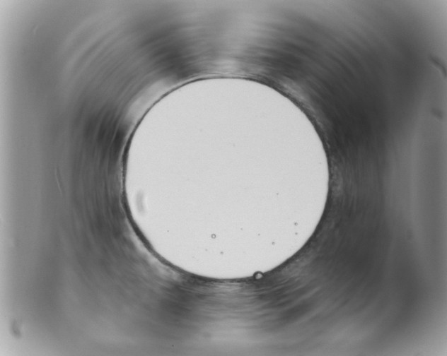 X0000098141479200805151128