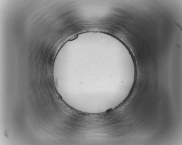 X0000098141481200805151128