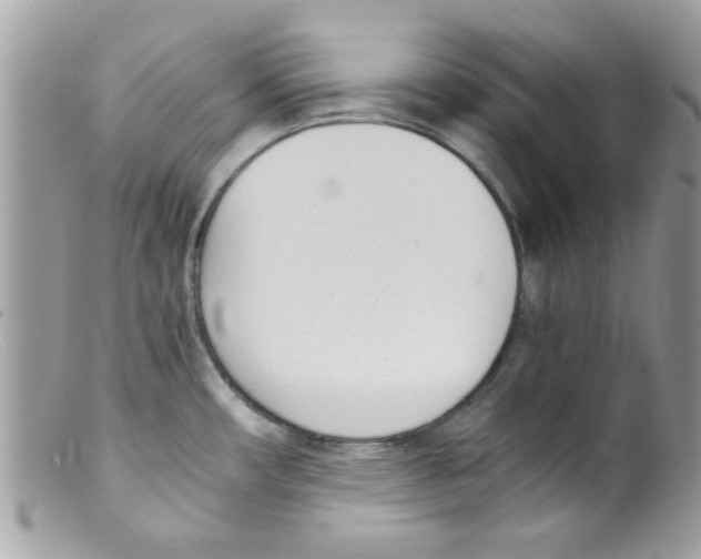 X0000098141482200805151128