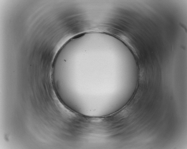 X0000098141484200805151128