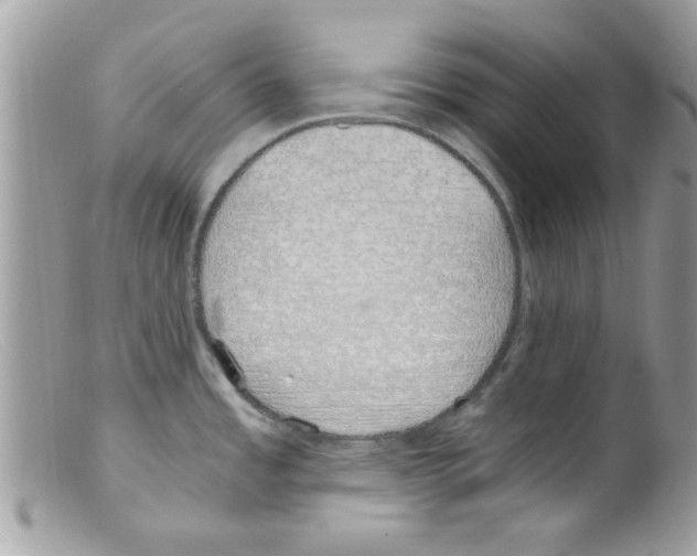 X0000098141485200805151128