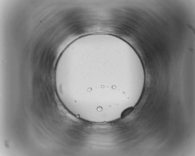 X0000098141486200805151128