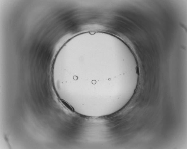 X0000098141488200805151128