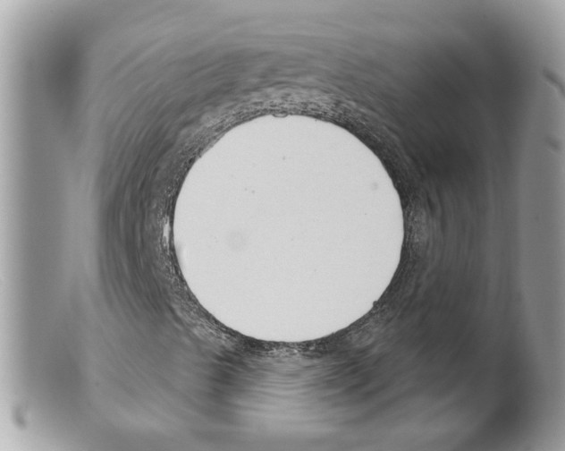 X0000098141489200805151127