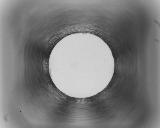 X0000098141490200805151127