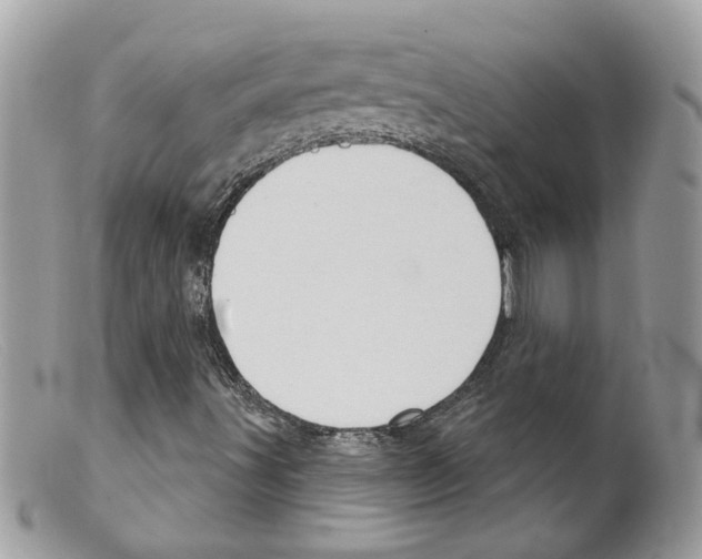 X0000098141491200805151127