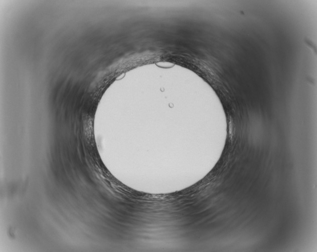 X0000098141492200805151127