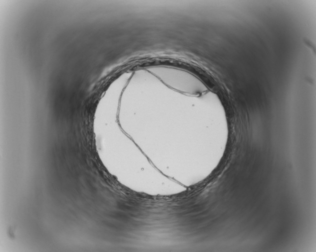 X0000098141494200805151127