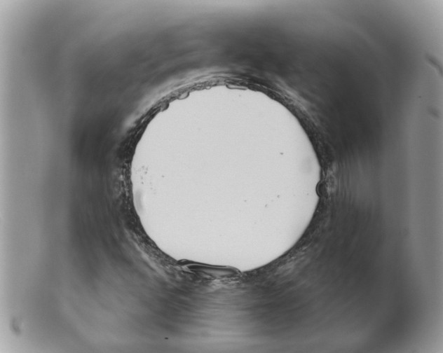 X0000098141496200805151127