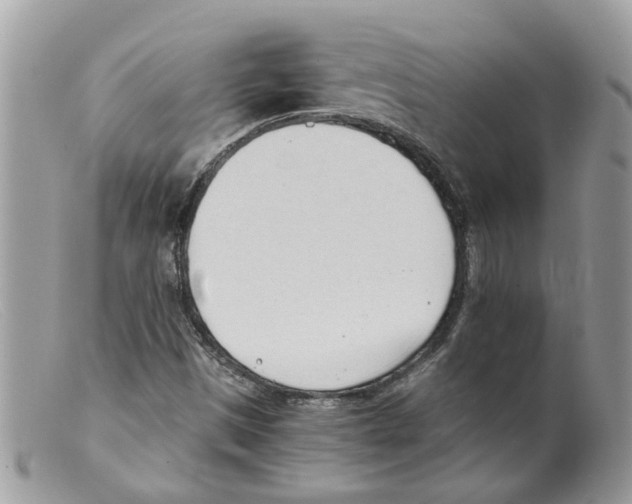 X0000098141497200805151127