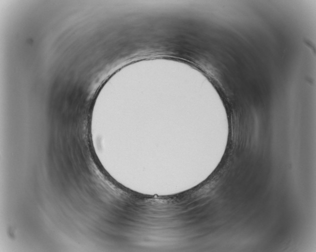 X0000098141500200805151127