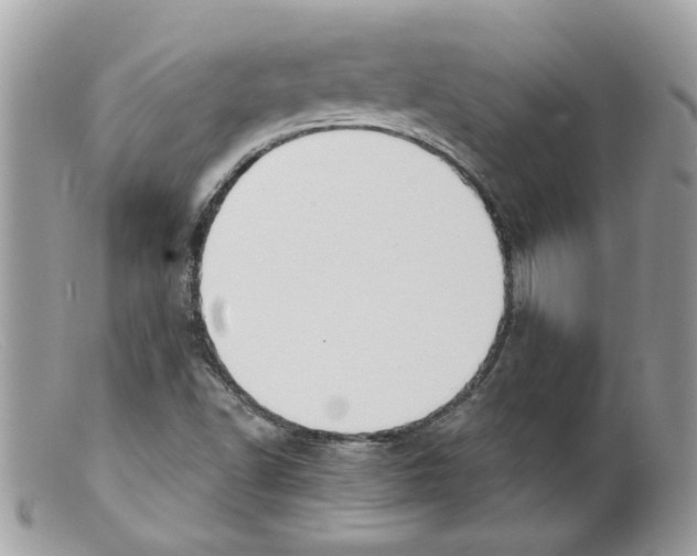 X0000098141502200805151127