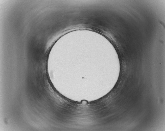 X0000098141504200805151127