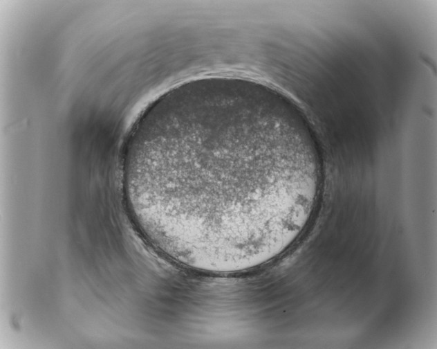 X0000098141506200805151127