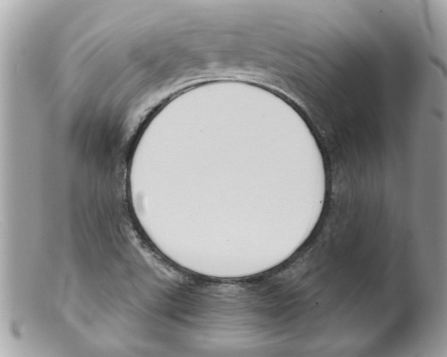 X0000098141507200805151127