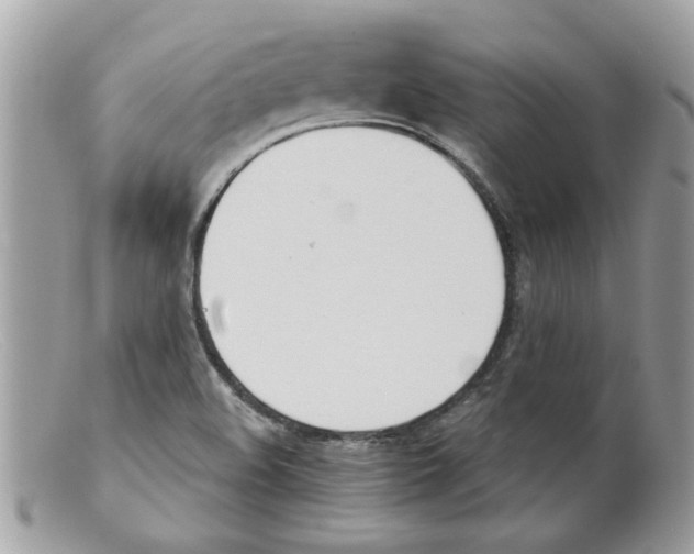 X0000098141508200805151127