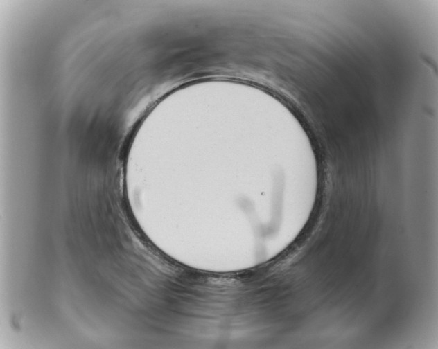 X0000098141509200805151127