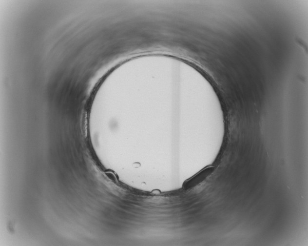 X0000098141510200805151127