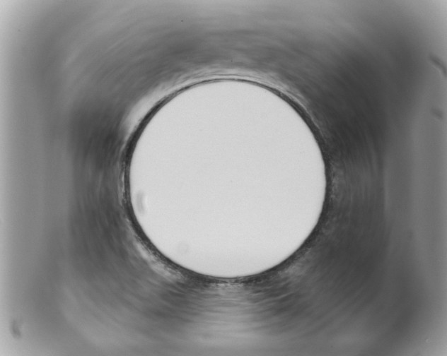 X0000098141511200805151127