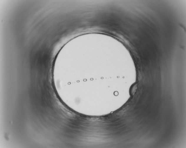 X0000098141512200805151127