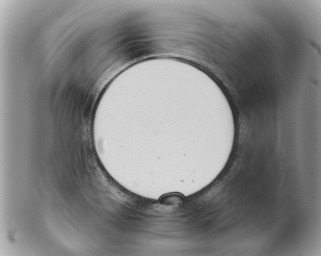 X0000098141513200805151127