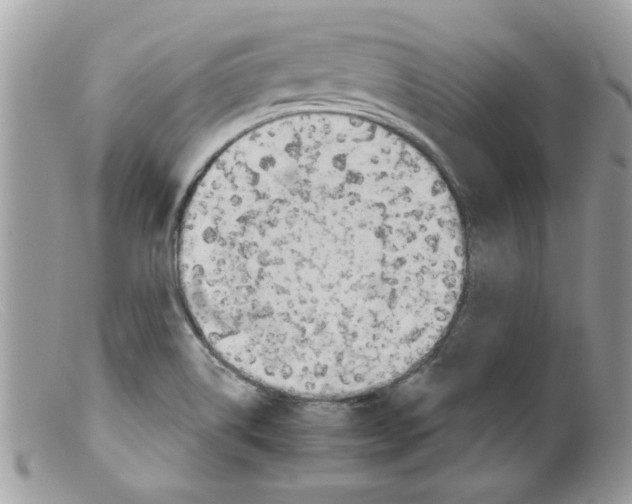 X0000098141514200805151127