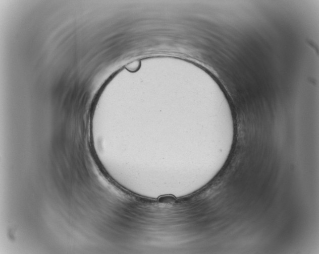 X0000098141515200805151127