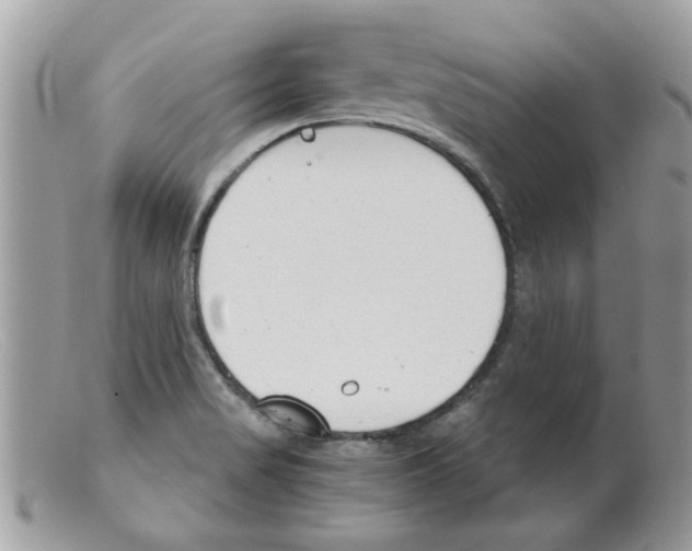 X0000098141517200805151127