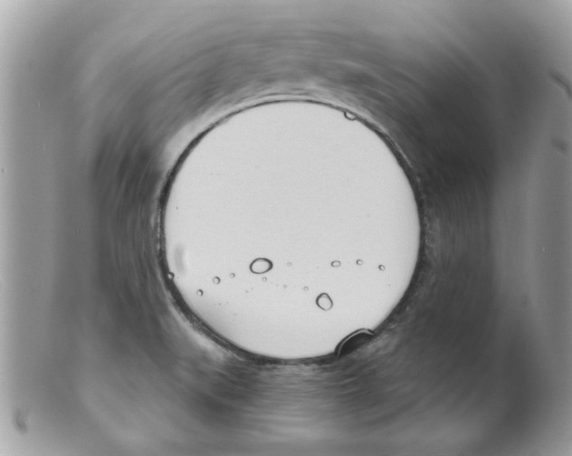 X0000098141519200805151127