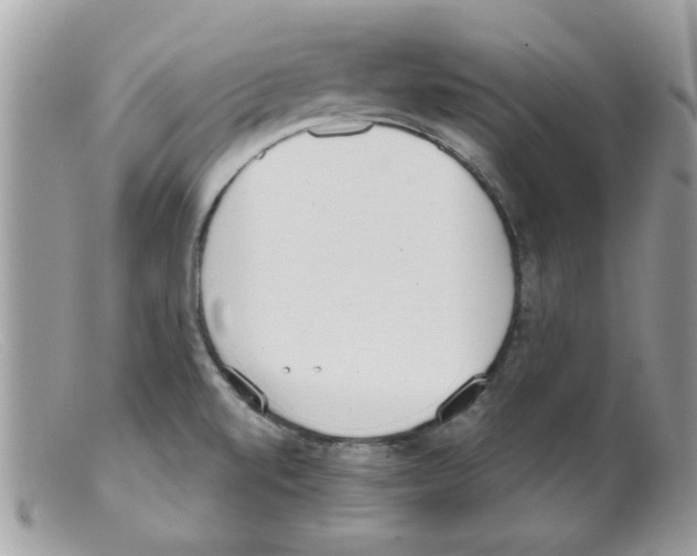 X0000098141520200805151127